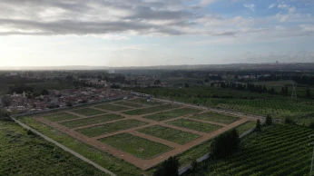 Vente Terrain Blida Boufarik