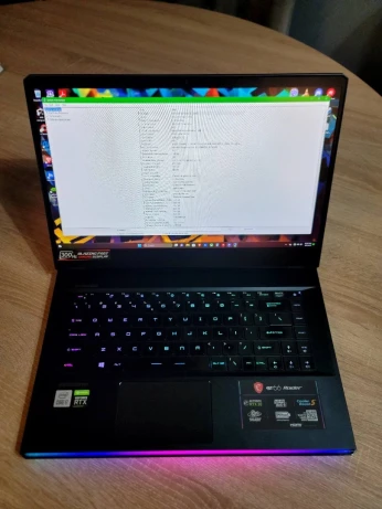 MSI Ge66 raider