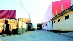 Vente Terrain Blida Blida