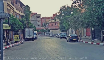 Vente Villa Blida Bouarfa
