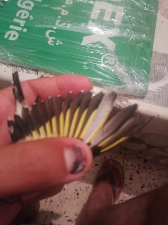 Des male et femelle chardans