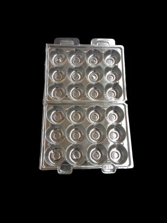 علب بيض السمان (emballage oeuf de caille)