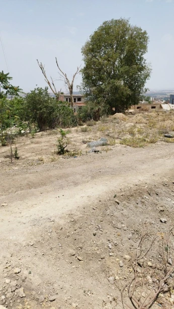 Vente Terrain Tlemcen Tlemcen