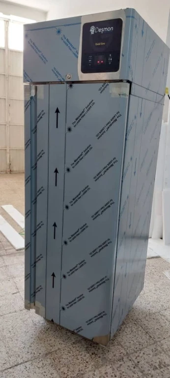 Armoire de congelation 700/1400 litre desmon italie