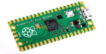 Carte Raspberry Pi Pico