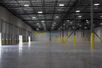 Location Hangar Alger Oued smar 6