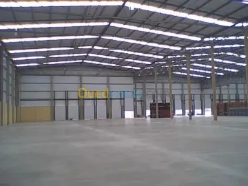 Location Hangar Alger Oued smar 6