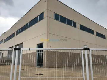 Location Hangar Alger Birtouta