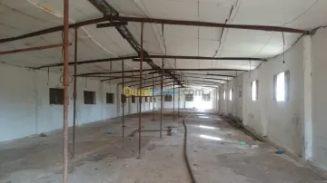 Location Hangar Oran Boutlelis 2