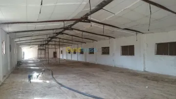 Location Hangar Oran Boutlelis 4