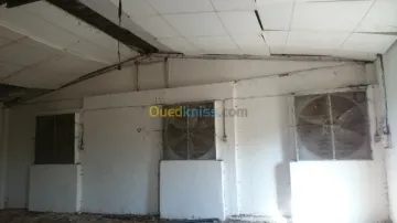 Location Hangar Oran Boutlelis