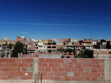 Vente Carcasse Constantine El khroub 33