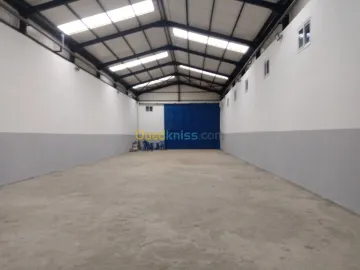 Location Hangar Bejaia Bejaia 2