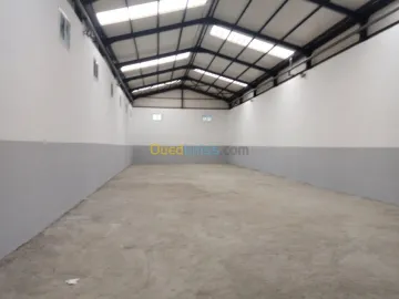 Location Hangar Bejaia Bejaia 4