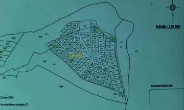 Vente Terrain Tizi ouzou Azazga 2