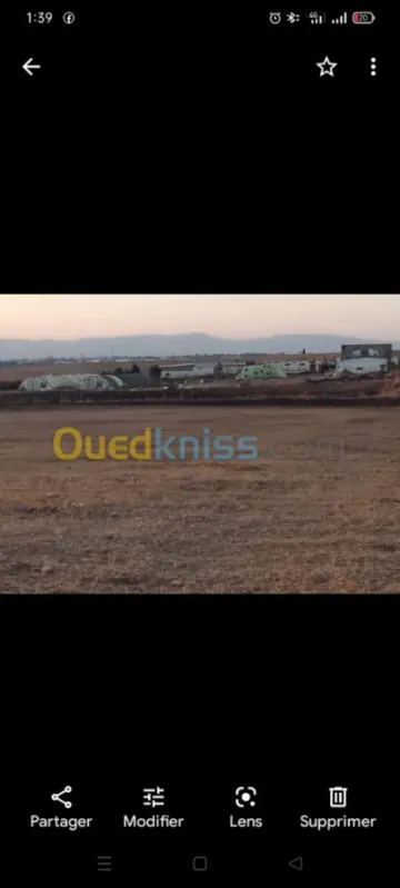 Vente Terrain Agricole Sidi Bel Abbès Sidi bel abbes 2