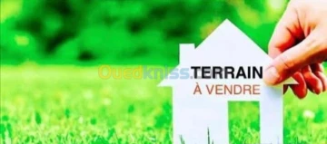 Vente Terrain Alger Hydra