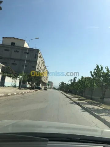 Vente Hangar Alger Rouiba 3