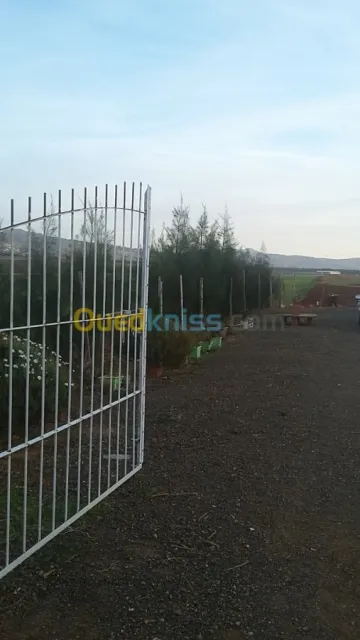 Vente Terrain Chlef Chlef 2
