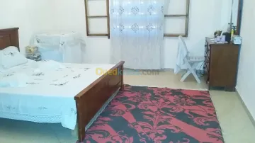 Vente Terrain Chlef Chlef 3