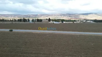 Vente Terrain Chlef Chlef 16