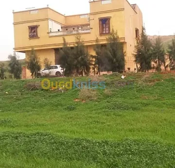 Vente Terrain Chlef Chlef 6