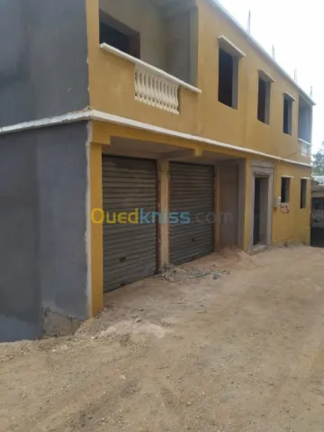 Vente Carcasse Ain defla Miliana 9