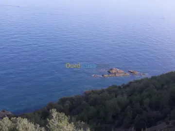 Vente Terrain Chlef Beni haoua 6