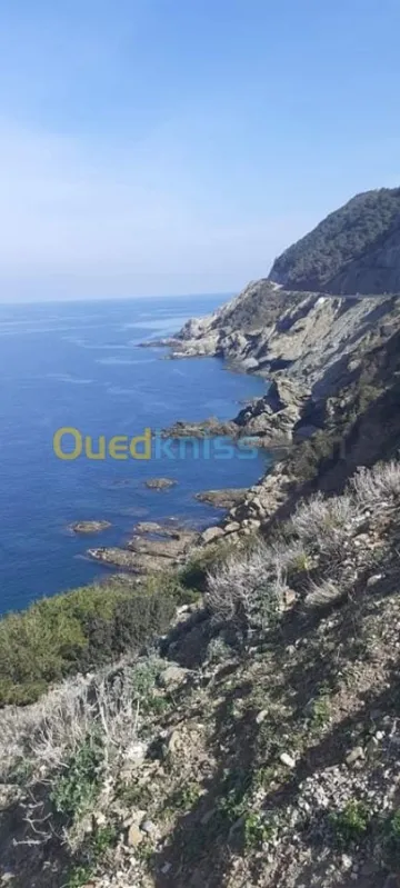 Vente Terrain Chlef Beni haoua 5