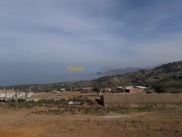 Vente Terrain Chlef Beni haoua 3