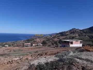 Vente Terrain Chlef Beni haoua 4
