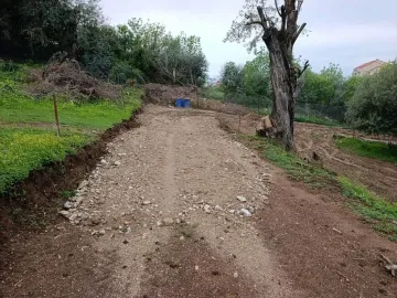 Vente Terrain Tizi Ouzou Mekla 12