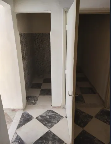 Vente Local Sidi Bel Abbès Sidi bel abbes 6