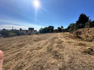 Vente Terrain Boumerdès Thenia 4