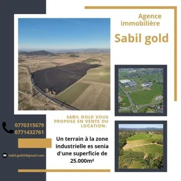 Location Terrain Oran Oran