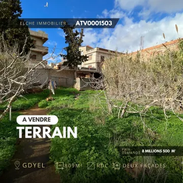 Vente Terrain Oran Oran 3