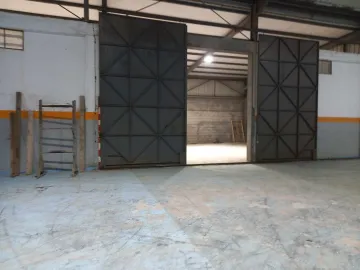 Location Hangar Sétif Guidjel 5
