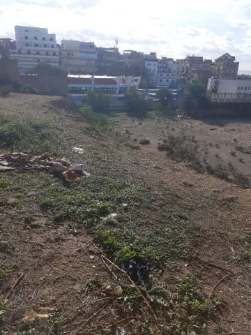 Vente Terrain Alger Zeralda 8