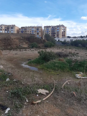 Vente Terrain Alger Zeralda 9