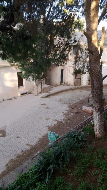 Location Local Blida Chrea 14