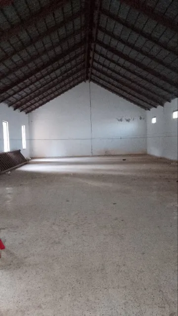 Location Local Blida Chrea 8