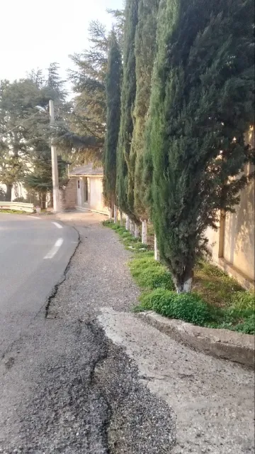 Location Local Blida Chrea 9