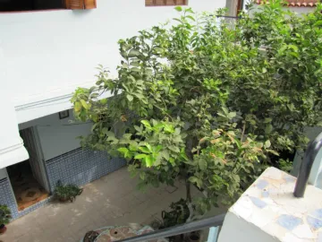 Vente Villa Blida Blida 4