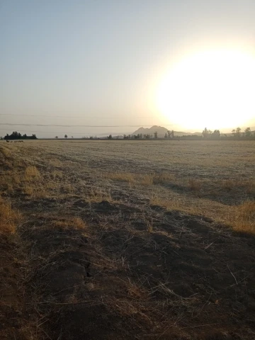 Vente Terrain Agricole Biskra Biskra
