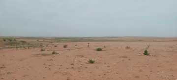 Vente Terrain Agricole Djelfa Birine 2