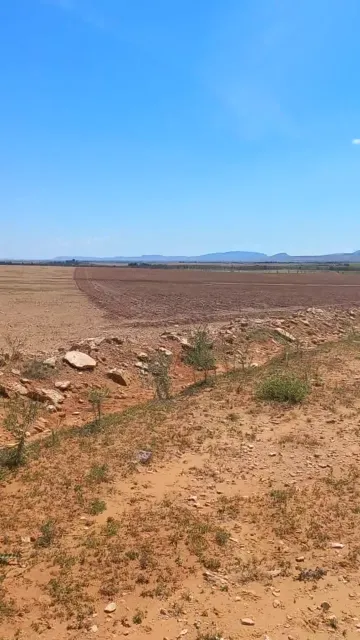 Vente Terrain Agricole Djelfa Bouira lahdab 6