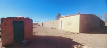 Vente Terrain Agricole Djelfa Ain oussara 25