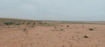 Vente Terrain Agricole Djelfa Birine 4