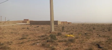 Vente Terrain Agricole Djelfa Had sahary 5