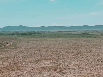 Vente Terrain Agricole Djelfa Bouira lahdab